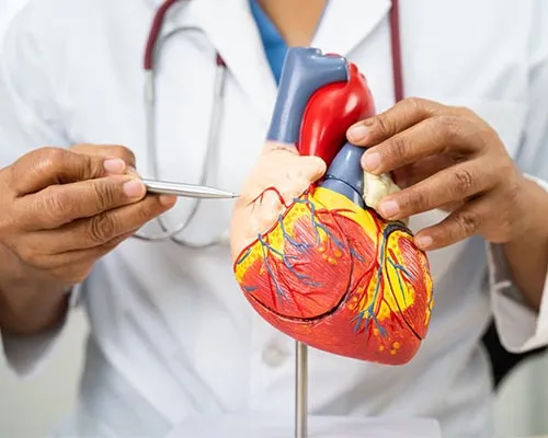 Homeopathy Doctor for Heart Disease in Mumbai