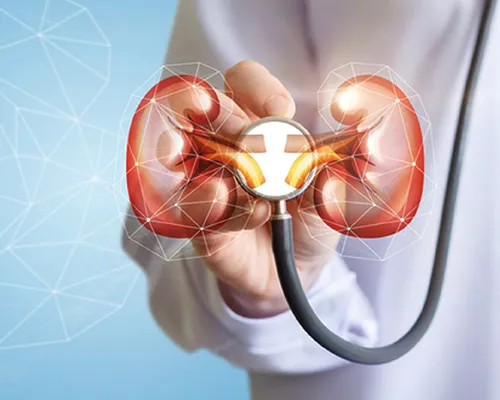 Homeopathy Doctor for Kidney Disease in Mumbai