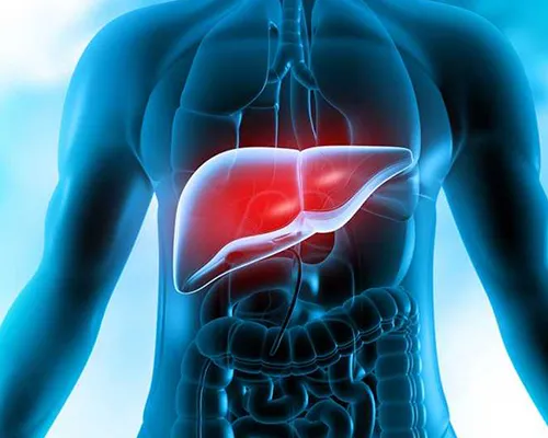 Homeopathy Doctor for Liver Disease in Mumbai